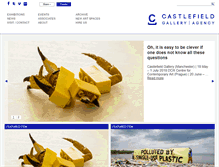 Tablet Screenshot of castlefieldgallery.co.uk